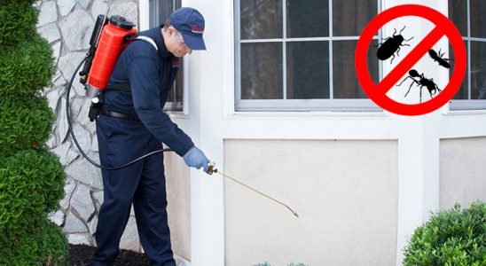 Eşrefpaşa Gümüşkurt İlaçlama böcek ilaçlama ve haşere kontrolü — ilaclama-tr.com